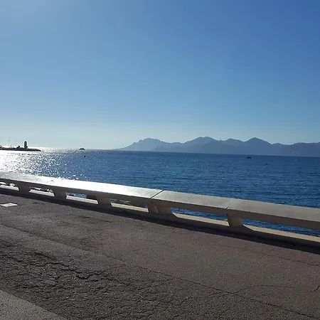 Apartamento Studio Palm Beach 200m De La Croisette Cannes